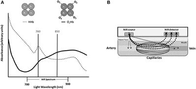 In Vivo Assessment of Mitochondrial Dysfunction in Clinical Populations Using Near-Infrared Spectroscopy